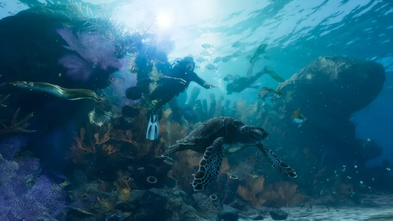 Sea turtles and reef life underwater in the Leonida Keys